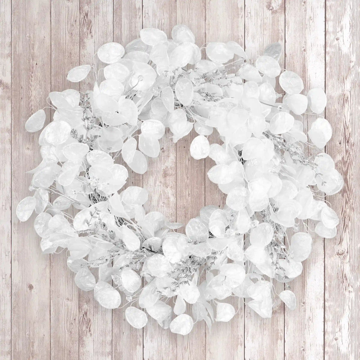 24 in. Winter Frost White Wreath