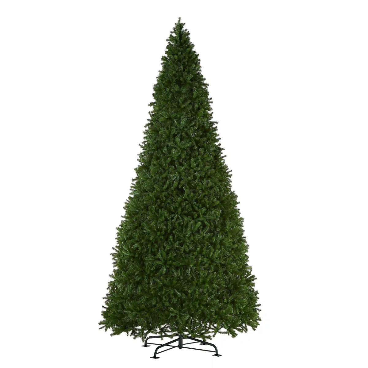 16 ft. North Valley Spruce Tree