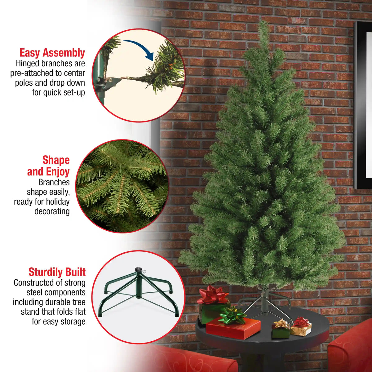 4 ft. North Valley Spruce Tree