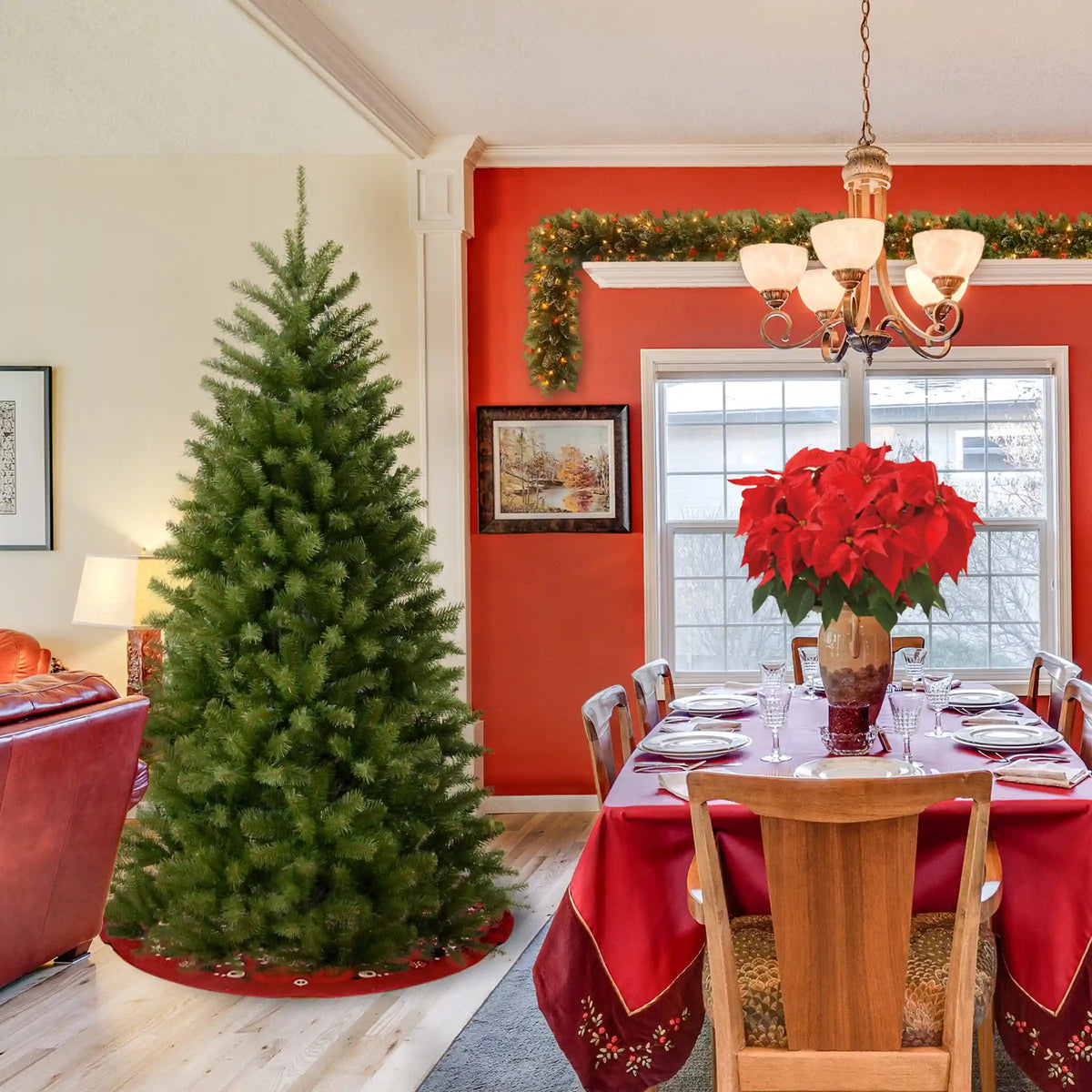 6 ft. North Valley Spruce Tree