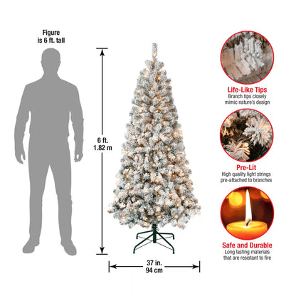 6 ft. Pre-Lit Acacia Slim Tree with Clear Lights, Plug-In