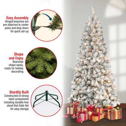6 ft. Pre-Lit Acacia Slim Tree with Clear Lights, Plug-In