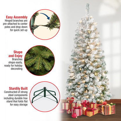 6 ft. Pre-Lit Acacia Medium Flocked Tree with Clear Lights, Plug-In