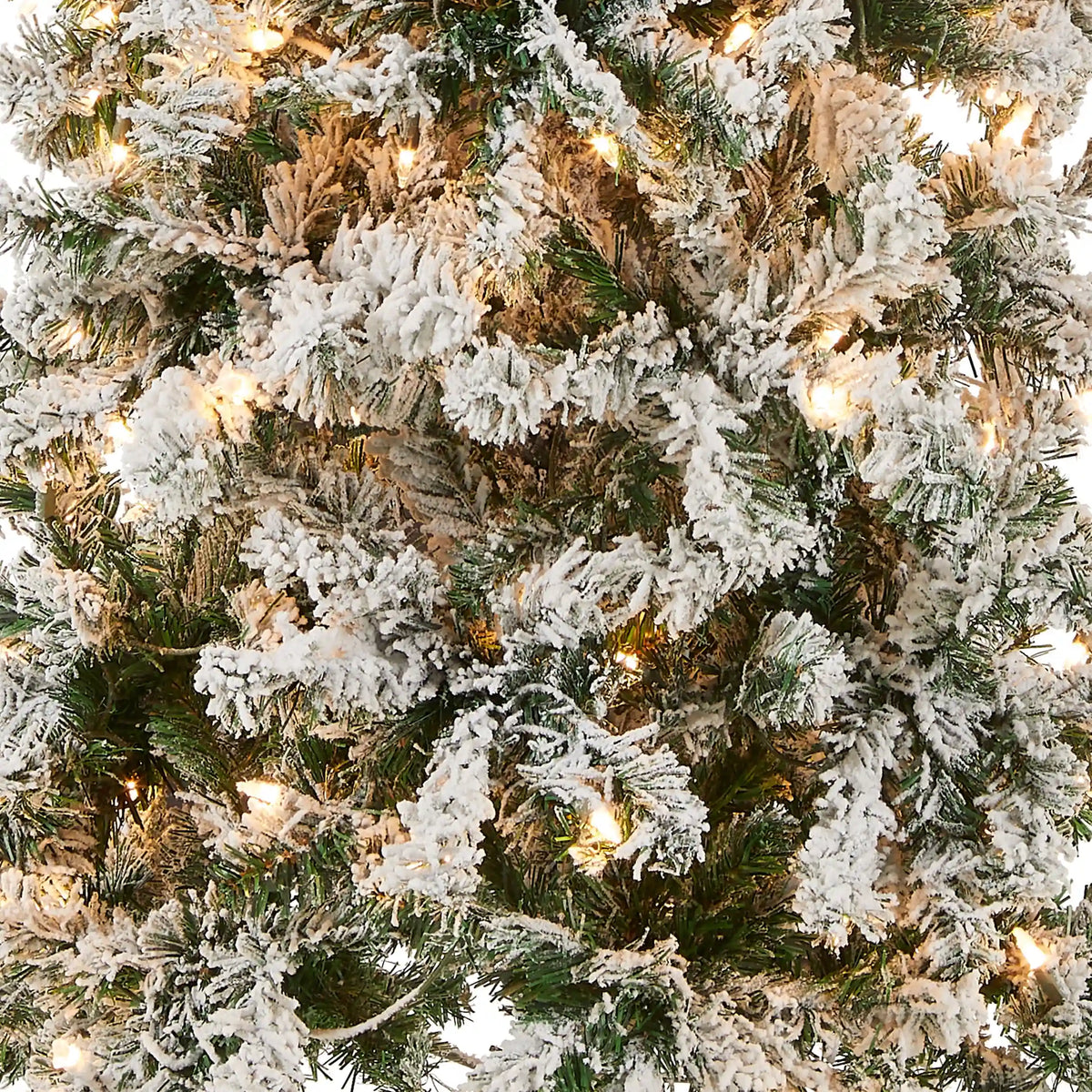 6 ft. Pre-Lit Acacia Medium Flocked Tree with Clear Lights, Plug-In