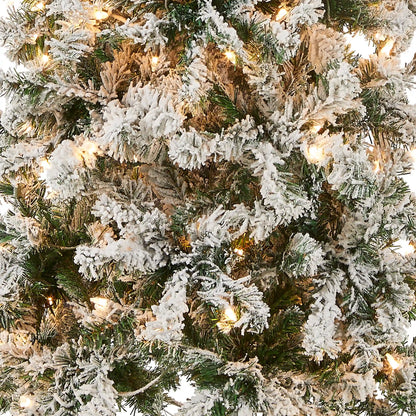 6 ft. Pre-Lit Acacia Medium Flocked Tree with Clear Lights, Plug-In