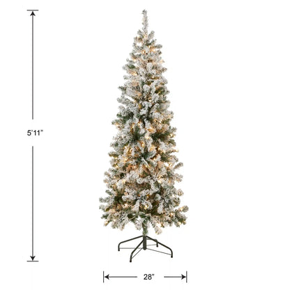 6 ft. Pre-Lit Acacia Medium Flocked Tree with Clear Lights, Plug-In