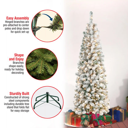 6 ft. Pre-Lit Acacia Pencil Slim Flocked Tree with Clear Lights, Plug-In