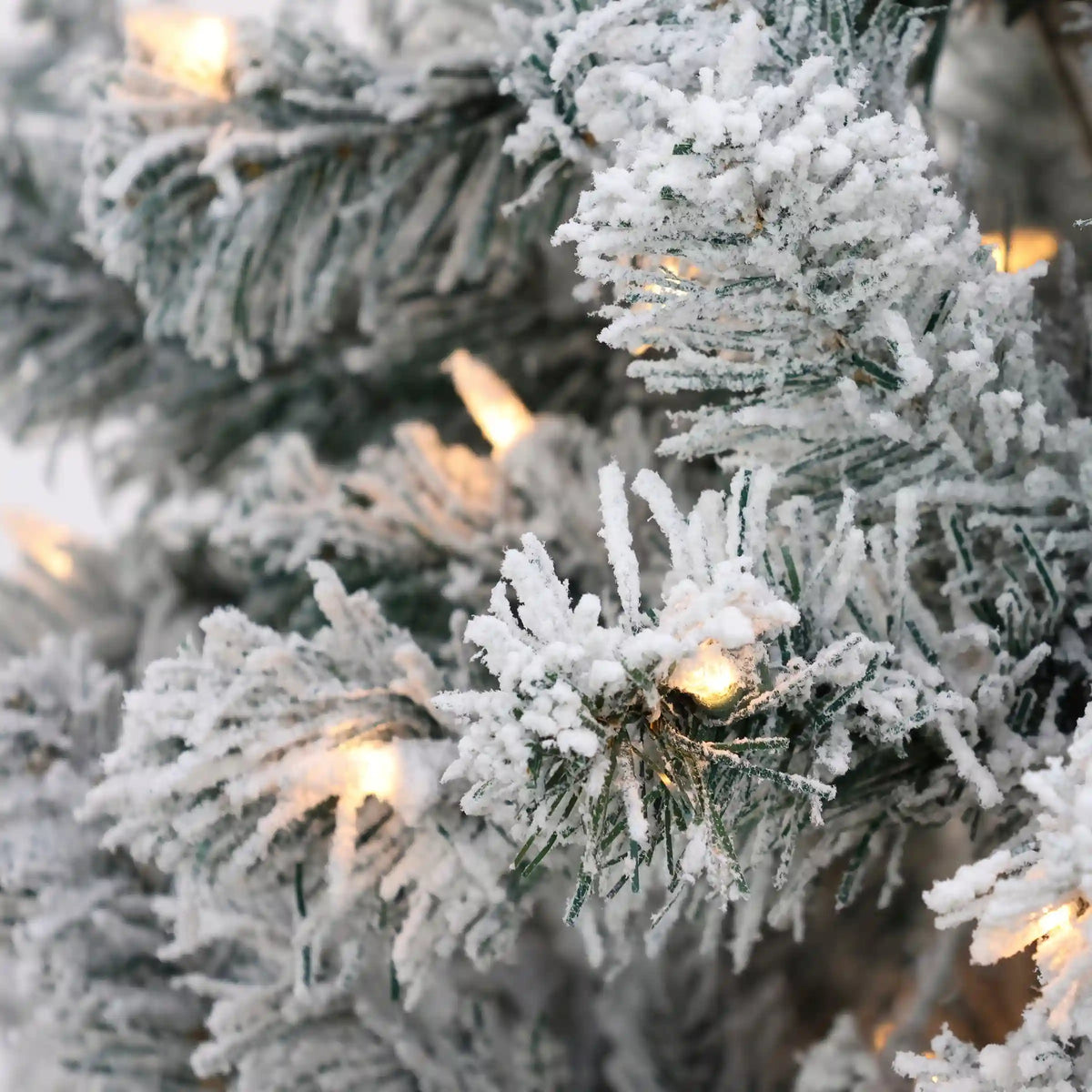 6 ft. Pre-Lit Acacia Flocked Tree with Clear Lights, Plug-In