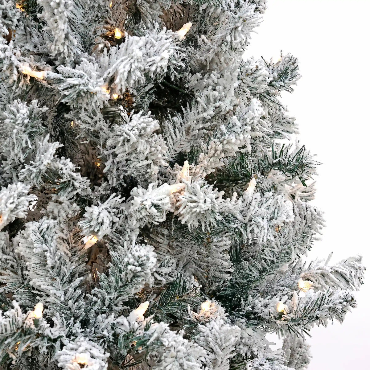 6 ft. Pre-Lit Acacia Flocked Tree with Clear Lights, Plug-In