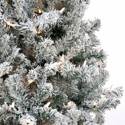 6 ft. Pre-Lit Acacia Flocked Tree with Clear Lights, Plug-In