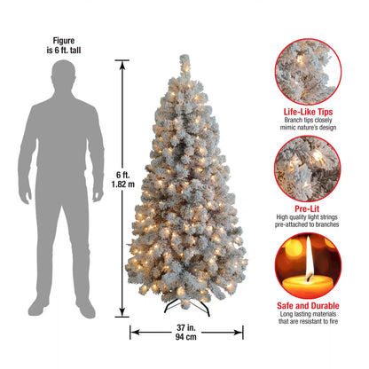 6 ft. Pre-Lit Acacia Flocked Tree with Clear Lights, Plug-In