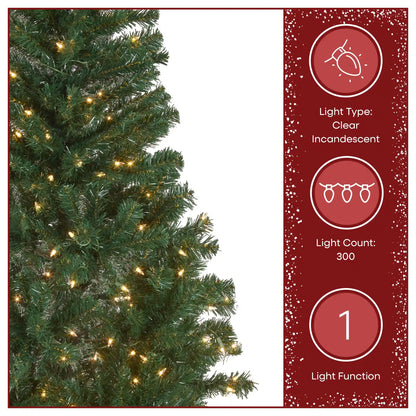 6 ft. Pre-Lit Acacia Hinged Tree with Clear Lights