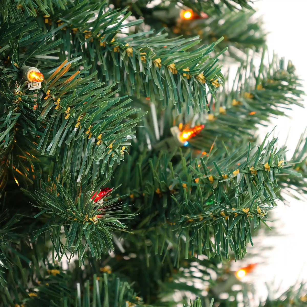 6 ft. Acacia Tree with Multicolor Lights, Plug-In