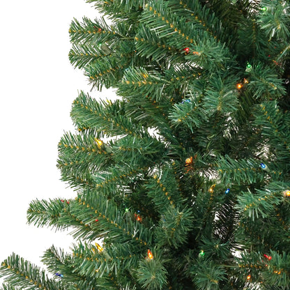 6 ft. Acacia Tree with Multicolor Lights, Plug-In