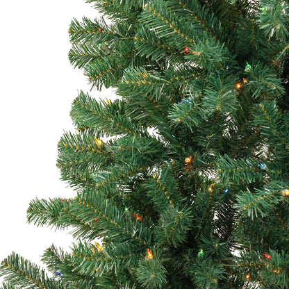 6 ft. Acacia Tree with Multicolor Lights, Plug-In