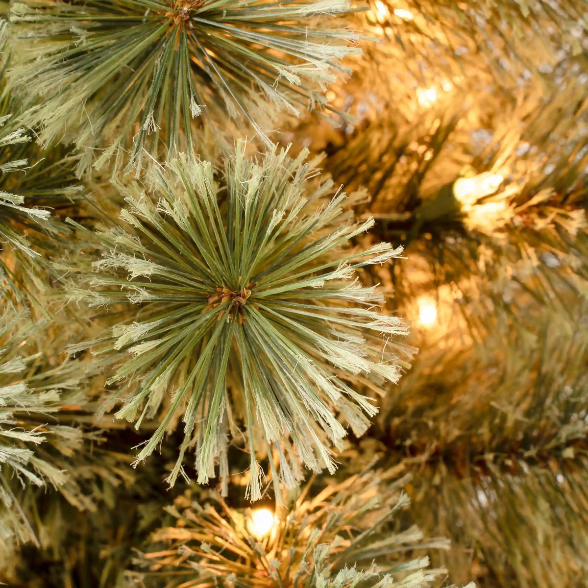 6 ft. Pre-Lit Arcadia Pine Cashmere Slim Tree with Clear Lights, Plug-In