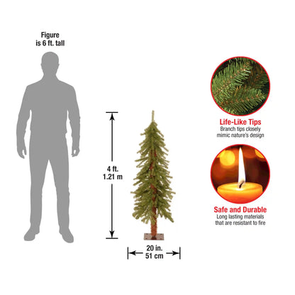 4 ft. Hickory Cedar Tree