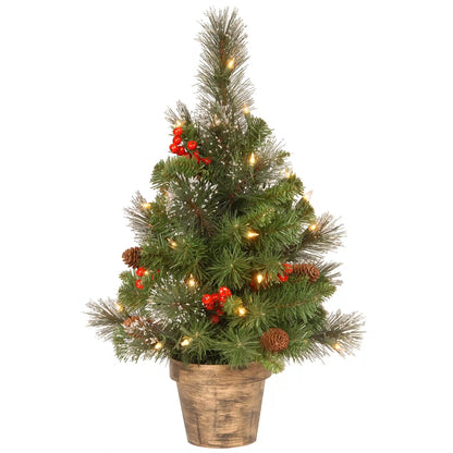 2 ft. Pre-Lit Crestwood Spruce Entrance Tree with Clear Lights, Plug-In