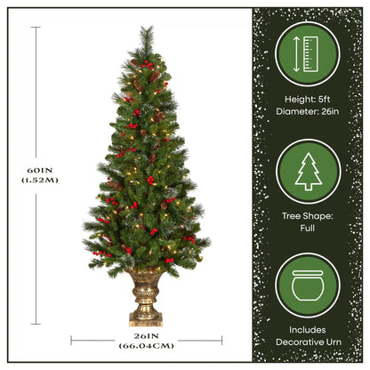 5 ft. Pre-Lit Crestwood Spruce Entrance Tree with Clear Lights