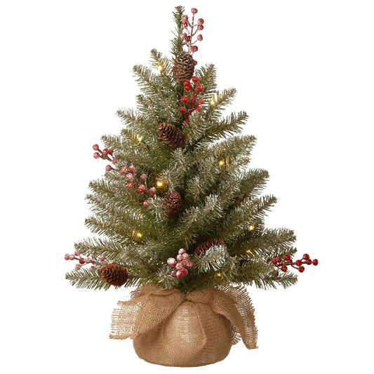 2 ft. Pre-Lit Dunhill Fir Tree with LED Lights
