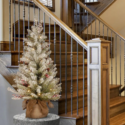 3 ft. Pre-Lit Dunhill Fir Tree with Warm White LED Lights