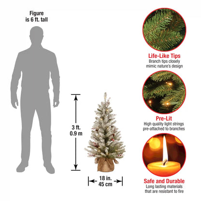 3 ft. Pre-Lit Dunhill Fir Tree with Warm White LED Lights