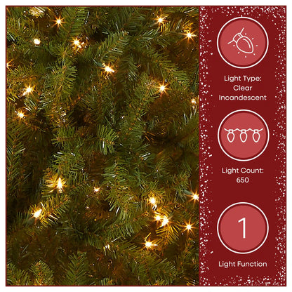6.5 ft. Pre-Lit Dunhill Fir Tree with Warm White Lights, Plug-In