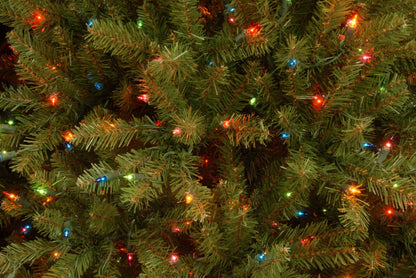 7.5 ft. Pre-Lit Dunhill Fir Tree with Multicolor Lights, Plug-In