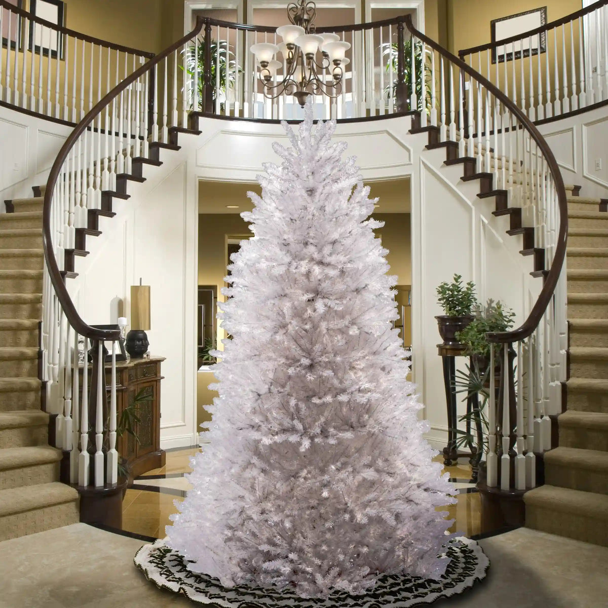 7.5 ft. Dunhill White Fir Tree