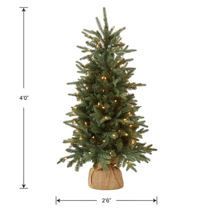 4 ft. Pre-Lit Everyday Collection Tree with Clear Lights, Plug-In