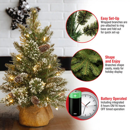 2 ft. Pre-Lit Glittery Bristle Tree with LED Lights