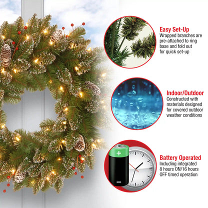 24 in. Pre-Lit Glittery Mountain Spruce with LED Lights