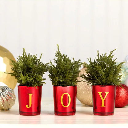8 in. Christmas Joy Tabletop Card Holder Votive 3 Piece