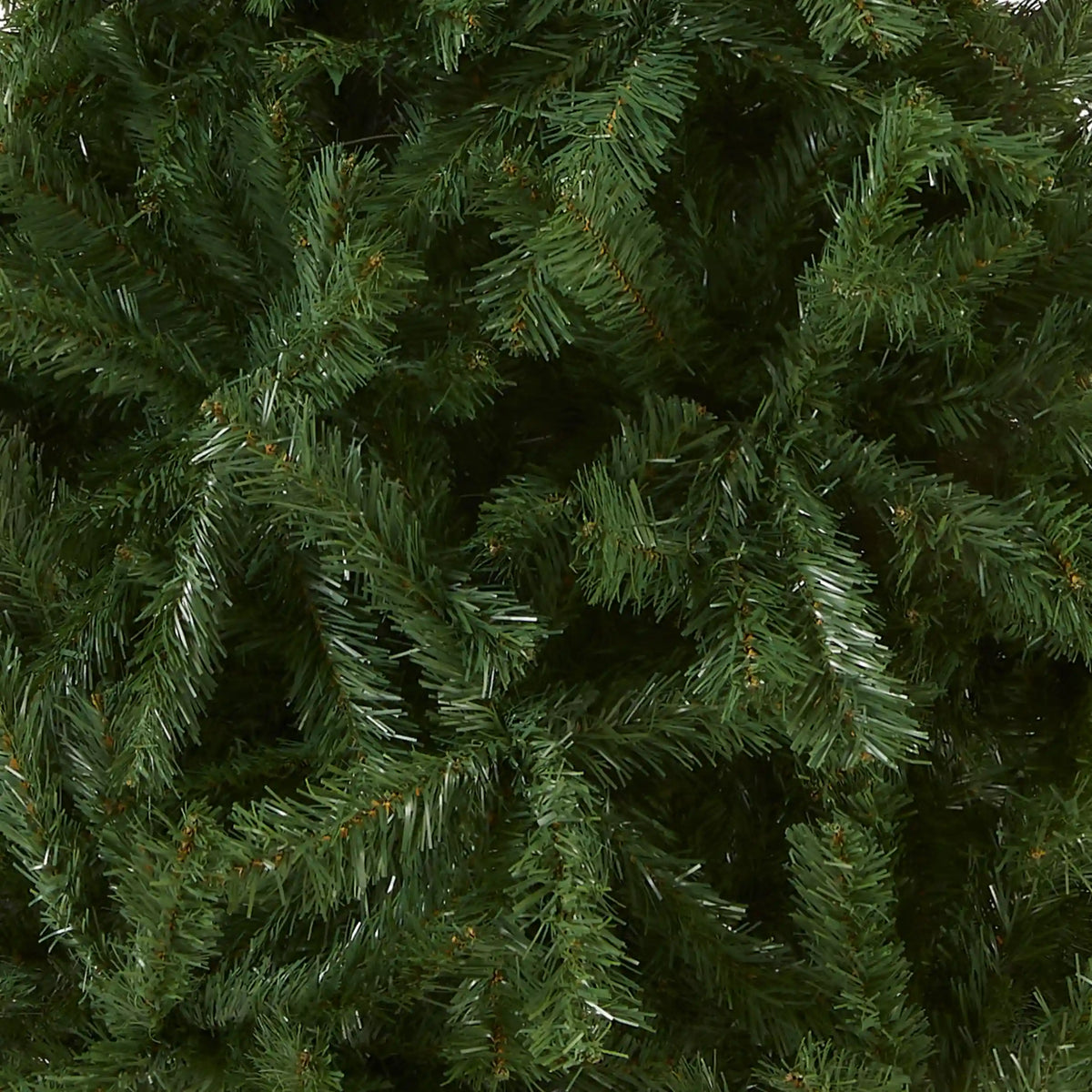 6 ft. Kincaid Spruce Tree