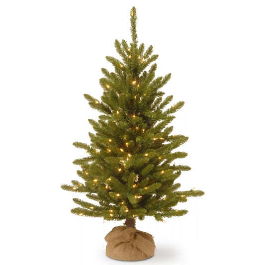 4 ft. Pre-Lit Kensington Fir Tree in a Burlap Sack with Clear Lights, Plug-In