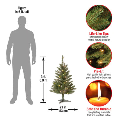 3 ft. Kingswood Fir Tree with Clear Lights