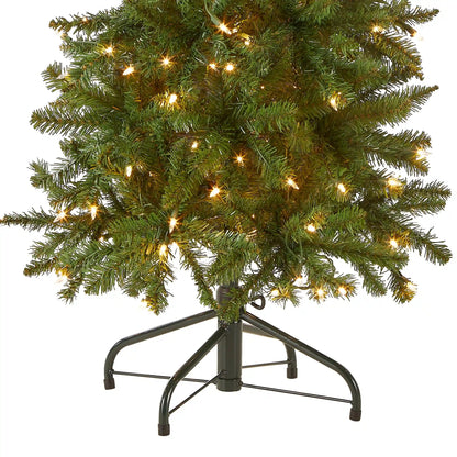 4.5 ft. Pre-Lit Kingswood Fir Pencil Tree with Clear Lights, Plug-In