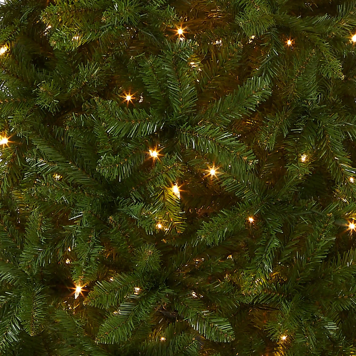 6 ft. Pre-Lit Kingswood Fir Pencil Tree with Clear Lights, Plug-In