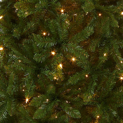 6 ft. Pre-Lit Kingswood Fir Pencil Tree with Clear Lights, Plug-In