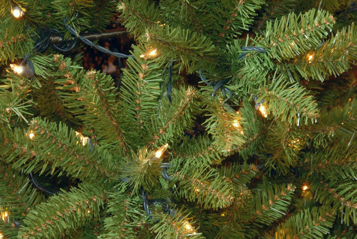 9 ft. Pre-Lit Kingswood Fir Pencil Tree with Clear Lights, Plug-In