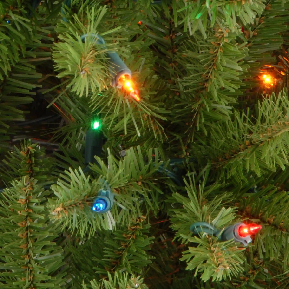 3 ft. Kingswood Fir Tree with Multicolor Lights
