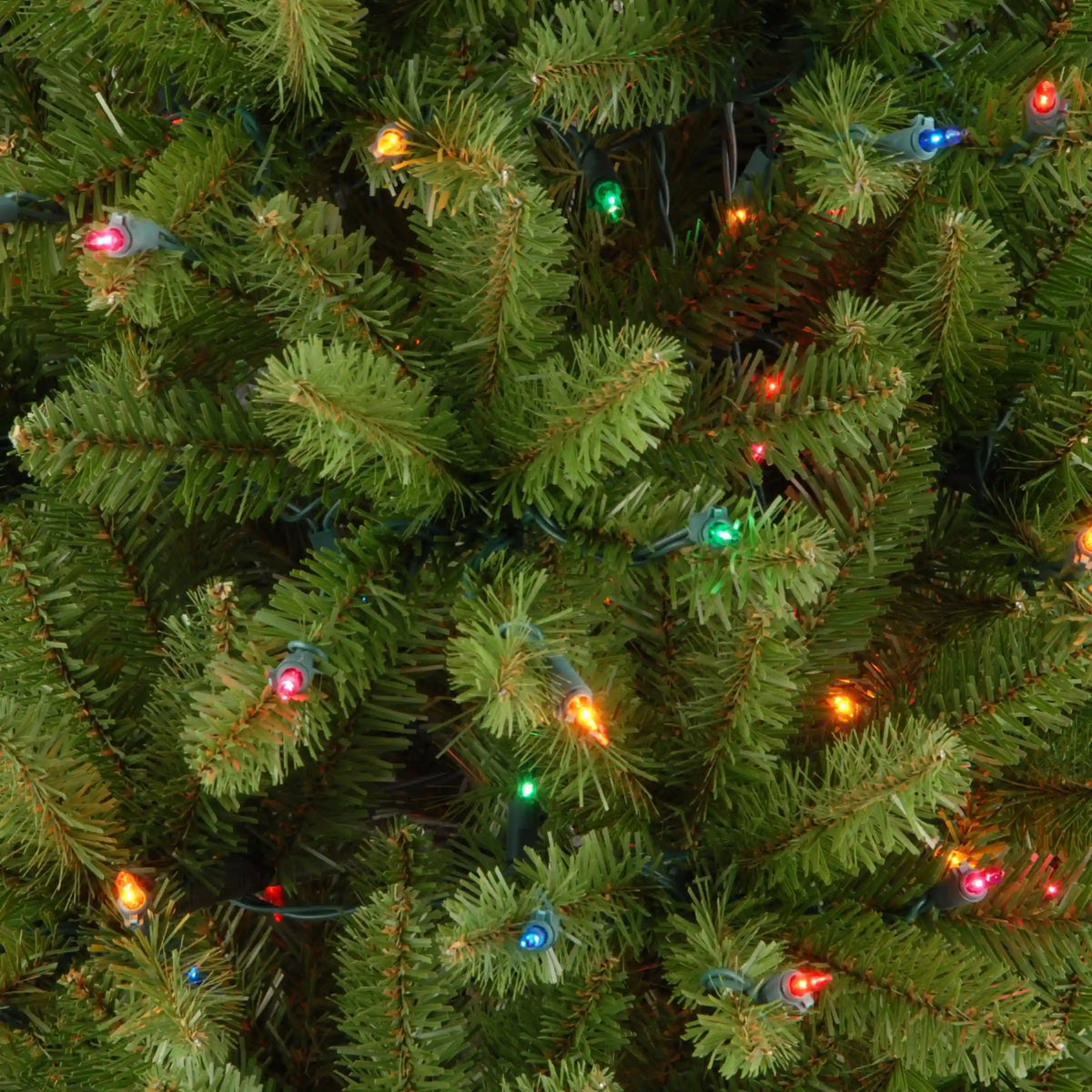 7.5 ft. Pre-Lit Kingswood Fir Pencil Tree with Multicolor Lights, Plug-In