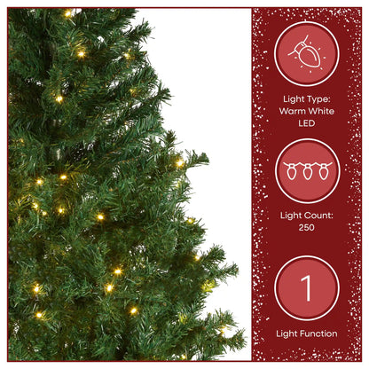 6 ft. Pre-Lit Linden Spruce Tree with Warm White LED Lights