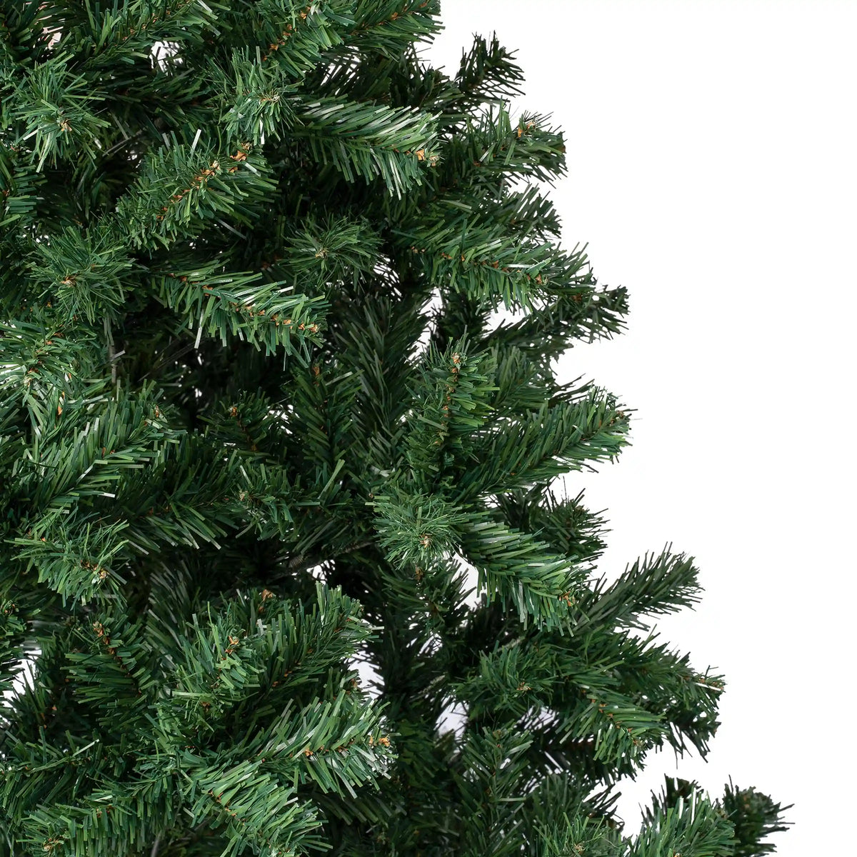 9 ft. Linden Spruce Tree