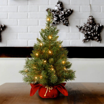 2 ft. Pre-Lit Majestic Fir Tree with Clear Lights, Burgandy Base, Plug-In