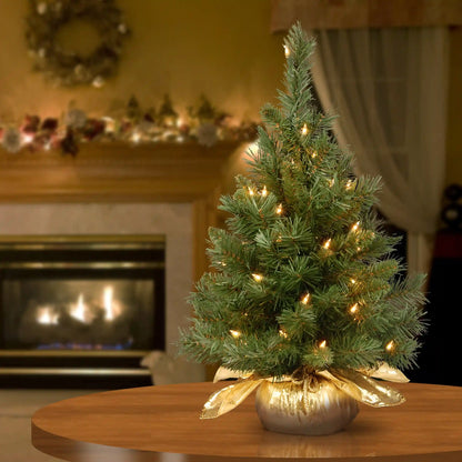 2 ft. Pre-Lit Majestic Fir Tree with Clear Lights, Gold Base, Plug-In