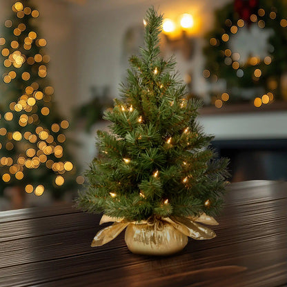 2 ft. Pre-Lit Majestic Fir Tree with Clear Lights, Gold Base, Plug-In