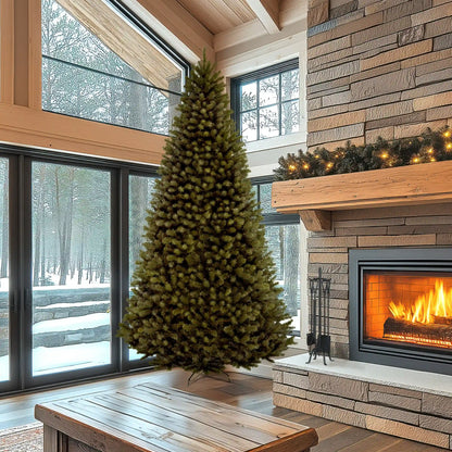 10 ft.  North Valley Spruce Tree