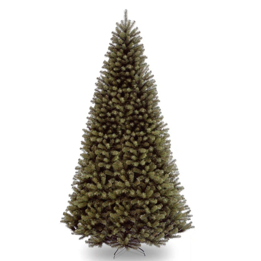 10 ft.  North Valley Spruce Tree