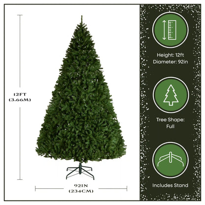 12 ft. North Valley Spruce Full Tree